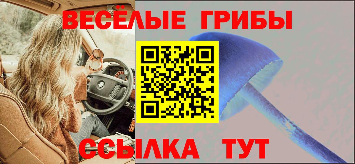 Галлюциногенные грибы мухоморы Новодвинск