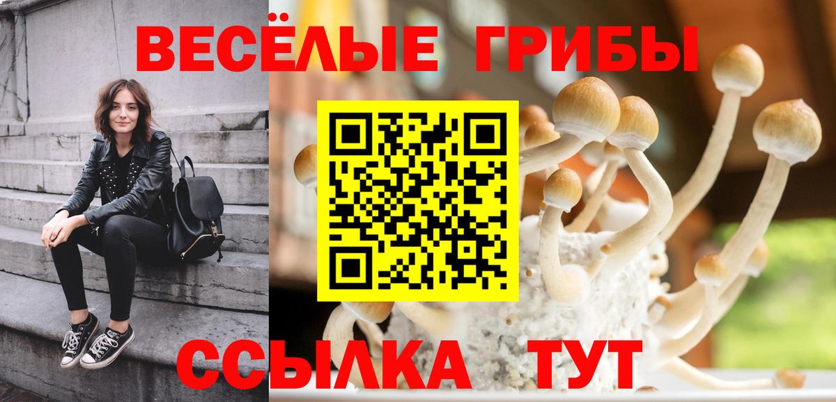 Новодвинск  Галлюциногенные грибы Magic Shrooms  где можно купить наркотик  Вход с VPN 